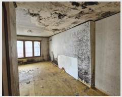  2024Ÿ112187 λ  ŵ3 700-48       ()