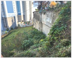  2024Ÿ��112989 �λ� ���� �ϳ��� 617-1       ����(��1)���