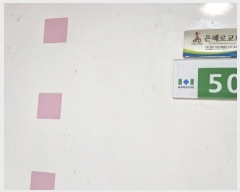  2024Ÿ��185  ����Ʈ���