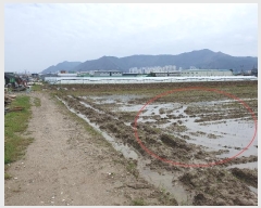  2024Ÿ��1560 �λ� ������ ����2�� 5758-1       ����(��)���