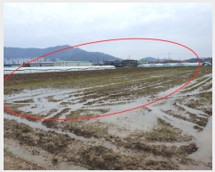  2024Ÿ��1560 �λ� ������ ����2�� 5758-1       ����(��)���