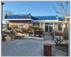  2024Ÿ��4095 �λ� ������ ����2�� 528-21       ������