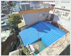  2024Ÿ��4385  �������