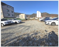  2024Ÿ��4934  �������