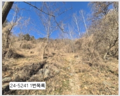  2024Ÿ��5241  �Ӿ߰��