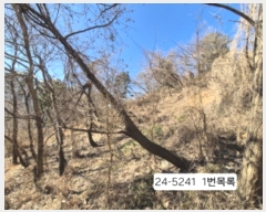  2024Ÿ��5241  �Ӿ߰��