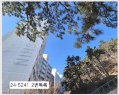  2024Ÿ��5241  �Ӿ߰��