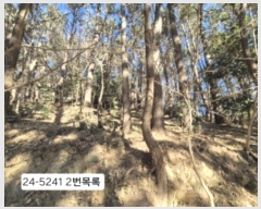  2024Ÿ��5241  �Ӿ߰��