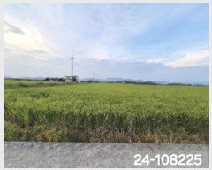  2024Ÿ��108225  ����