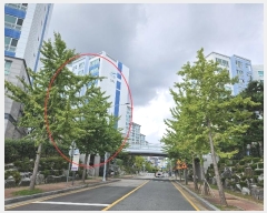  2024Ÿ110181 λ  ǽƼ12 92, 514 3302ȣ (,ũ)    Ʈ