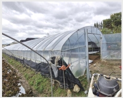  2024Ÿ��110792 �λ� ������ ������ 1537       ����(��)���