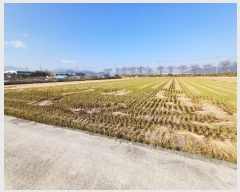  2024Ÿ��112279  ����