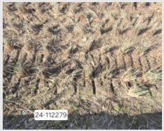  2024Ÿ��112279  ����