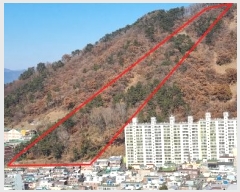  2024Ÿ��112910  �Ӿ߰��