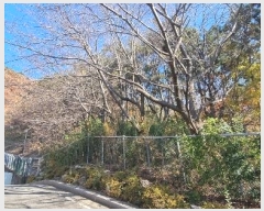  2024Ÿ��112910  �Ӿ߰��