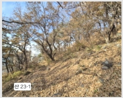  2024Ÿ��112910  �Ӿ߰��