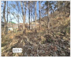  2024Ÿ��112910  �Ӿ߰��