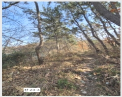  2024Ÿ��112910  �Ӿ߰��