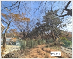  2024Ÿ��112910  �Ӿ߰��