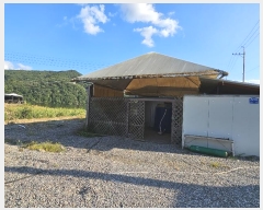  2024Ÿ��4923  ���ð��