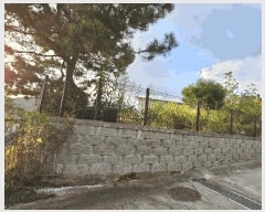  2024Ÿ��5148  �����