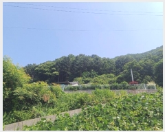  2024Ÿ��77228 ��� ���� ��� ������ ��69      ����(�Ӿ�)���