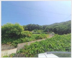  2024Ÿ��77228 ��� ���� ��� ������ ��69      ����(�Ӿ�)���