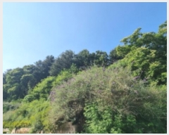  2024Ÿ��77228 ��� ���� ��� ������ ��69      ����(�Ӿ�)���