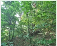  2024Ÿ��77228 ��� ���� ��� ������ ��69      ����(�Ӿ�)���