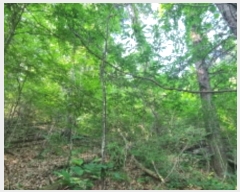  2024Ÿ��77228 ��� ���� ��� ������ ��69      ����(�Ӿ�)���