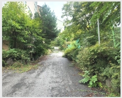  2024Ÿ��80309 ��� �����ֽ� ������ ��õ�� 24-3      �����ü����