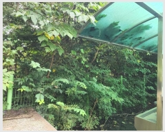  2024Ÿ��80309 ��� �����ֽ� ������ ��õ�� 24-3      �����ü����