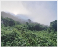  2024Ÿ81098   û  643-12      (1)