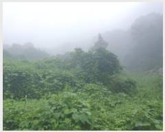  2024Ÿ81098   û  643-12      (1)