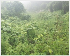  2024Ÿ81098   û  643-12      (1)