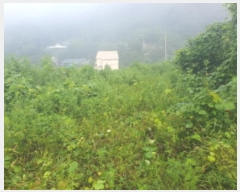  2024Ÿ81098   û  643-12      (1)