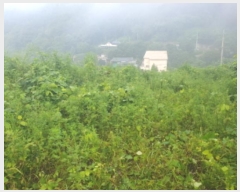  2024Ÿ81098   û  643-12      (1)