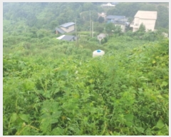  2024Ÿ81098   û  643-12      (1)