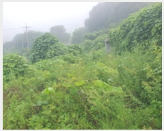  2024Ÿ81098   û  643-12      (1)