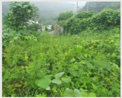  2024Ÿ81098   û  643-12      (1)