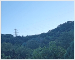  2024Ÿ82305  ֽ ȸ ɳ 1      (Ӿ)