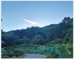  2024Ÿ82305  ֽ ȸ ɳ 1      (Ӿ)