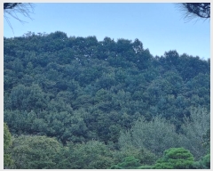  2024Ÿ82305  ֽ ȸ ɳ 1      (Ӿ)