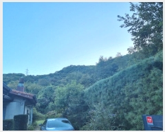  2024Ÿ82305  ֽ ȸ ɳ 1      (Ӿ)