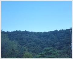  2024Ÿ82305  ֽ ȸ ɳ 1      (Ӿ)