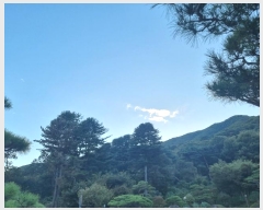  2024Ÿ82305  ֽ ȸ ɳ 1      (Ӿ)