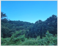  2024Ÿ82305  ֽ ȸ ɳ 1      (Ӿ)