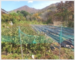  2024Ÿ��84912  �����