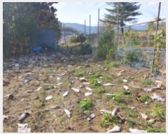  2024Ÿ��84912  �����