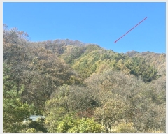  2024Ÿ��84943  �Ӿ߰��